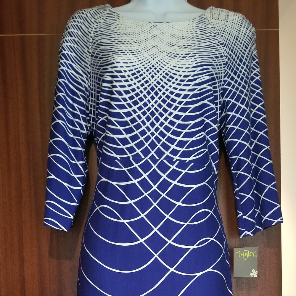 NWT Taylor Blue and White Dress Misses Size 10
